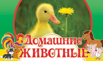 Домашние животные Домашние животные