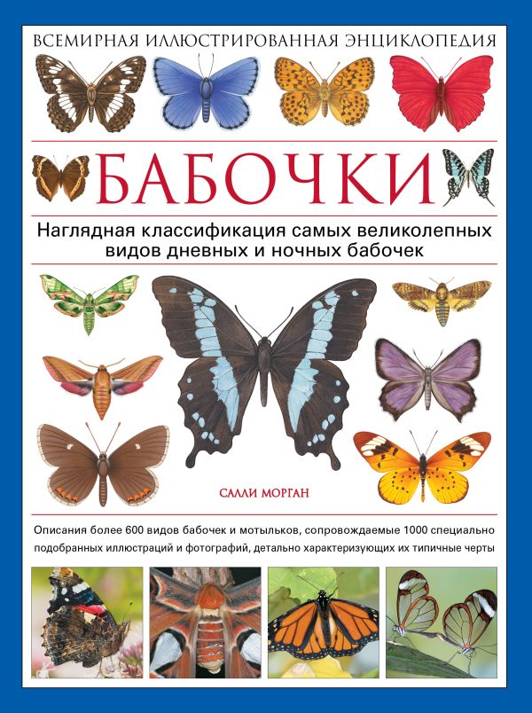 Бабочки. Всемирная иллюстрированная энциклопедия Бабочки. Всемирная иллюстрированная энциклопедия Морган С.