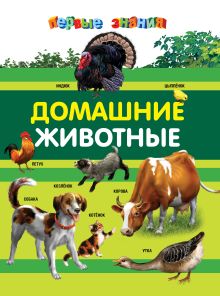 Домашние животные