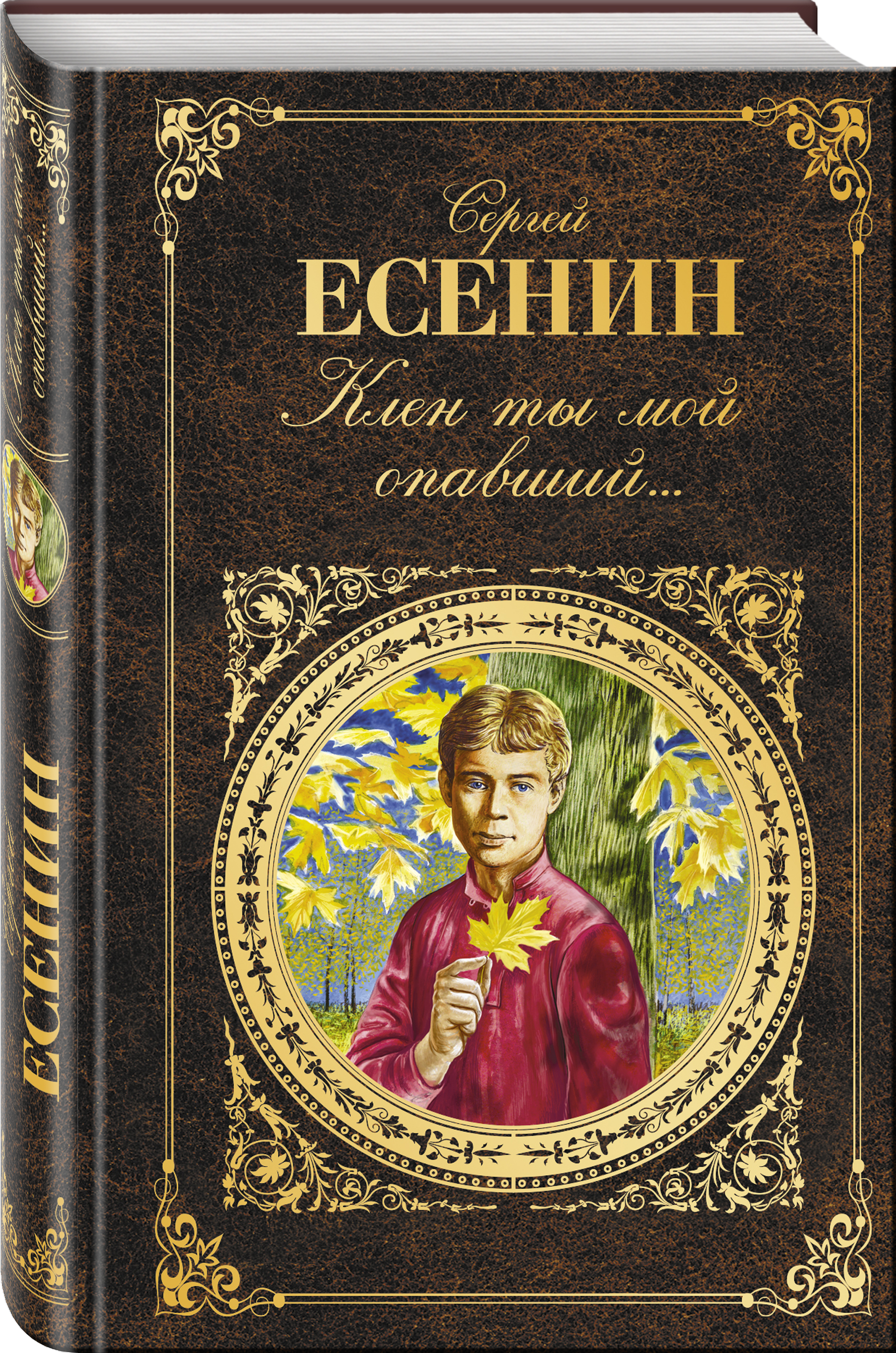 Сергей Александрович Есенин на обложке книги