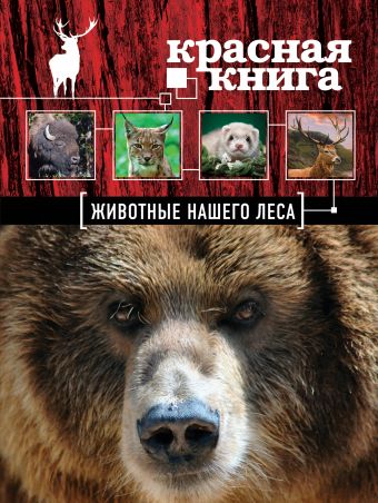 

Красная книга. Животные нашего леса