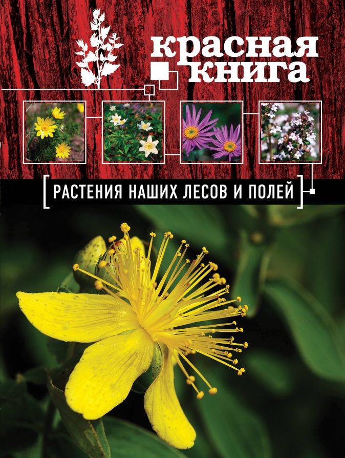 Красная книга растений башкортостана с картинками