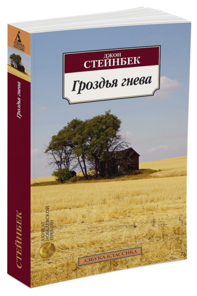 Как установить диабло 2 гроздья гнева на вин 10