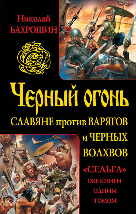 Черный огонь. Славяне против варягов и черных волхвов Черный огонь. Славяне против варягов и черных волхвов Бахрошин Н.А.