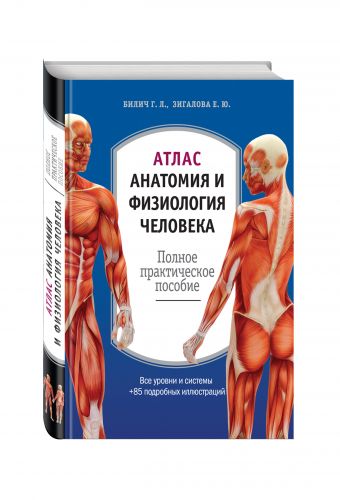 Атлас: анатомия и физиология человека Атлас: анатомия и физиология человека Билич Г.Л., Зигалова Е.Ю.