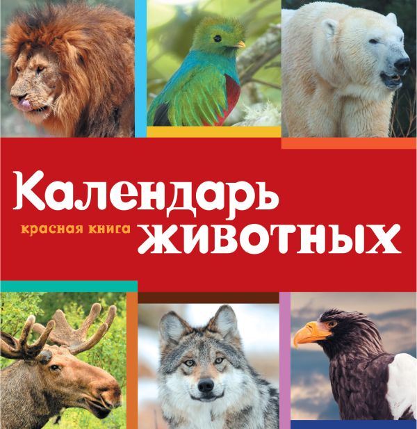 Календарь. Красная книга Календарь. Красная книга Скалдина О.В., Слиж Е.А., Дудникова С.С.