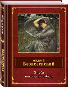 Я тебя никогда не забуду