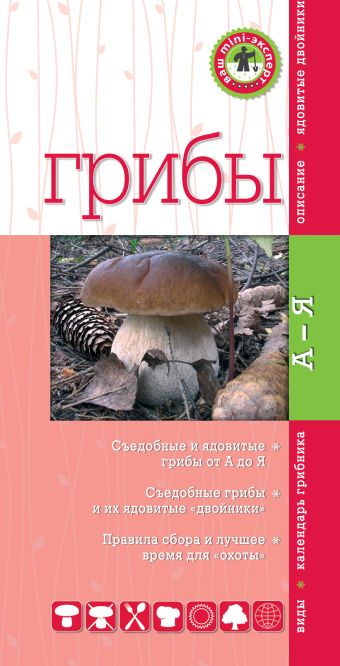 Грибы. Мини-эксперт Грибы. Мини-эксперт Вишневский М.В.
