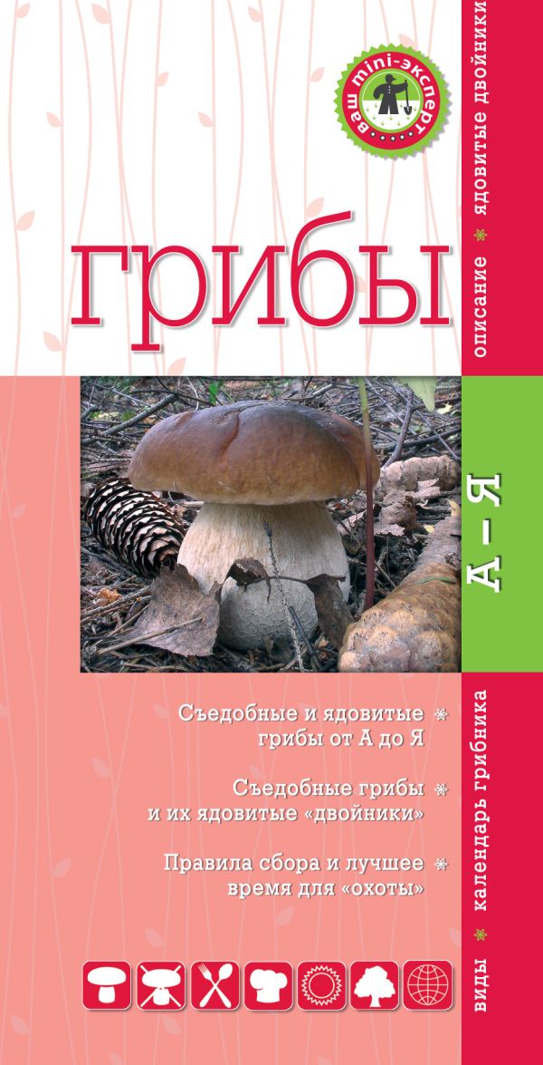 Грибы. Мини-эксперт Грибы. Мини-эксперт Вишневский М.В.
