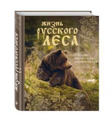 Жизнь русского леса. Большая подарочная энциклопедия (медведь)