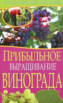 Прибыльное выращивание винограда