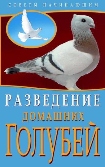 Разведение домашних голубей Разведение домашних голубей Каминская Е.
