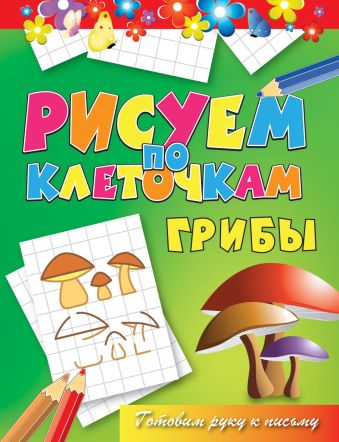 Грибы Грибы Зайцев В.Б.