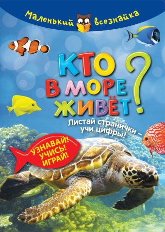 Кто в море живет?Узнавай!Учись!Играй! Кто в море живет?Узнавай!Учись!Играй!