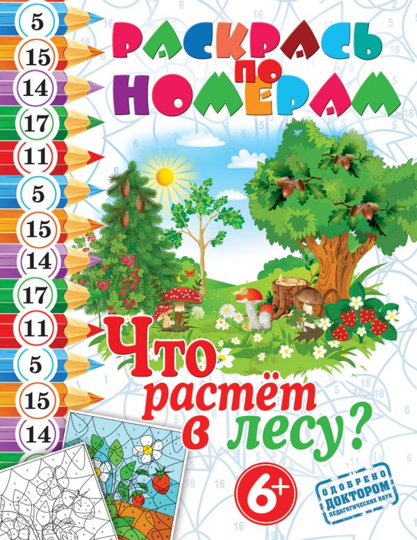 Что растет лесу? Что растет лесу?