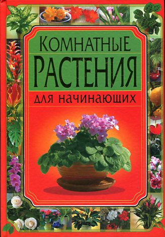 Комнатные растения для начинающих Комнатные растения для начинающих Жмакин М.С.