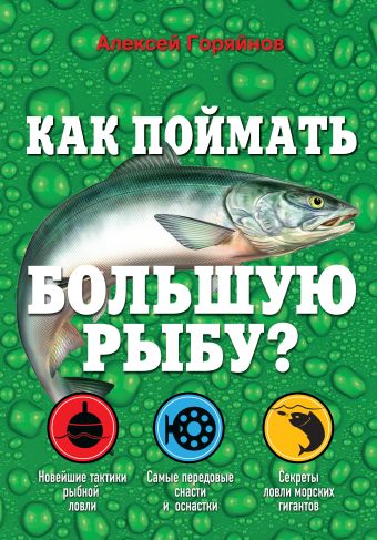 Как поймать большую рыбу? Как поймать большую рыбу? Горяйнов А.Г.