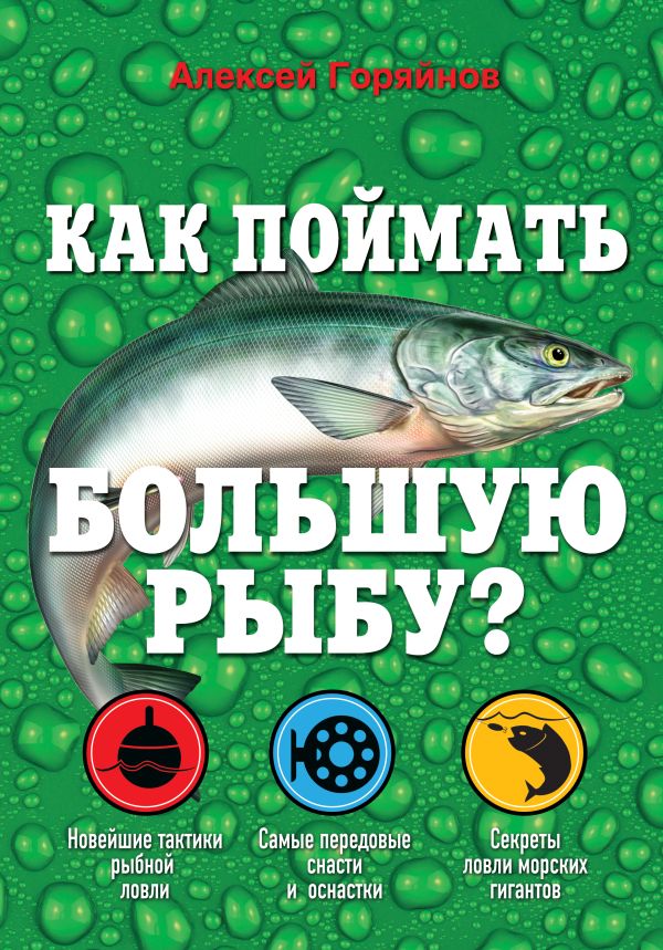 Как поймать большую рыбу? Как поймать большую рыбу? Горяйнов А.Г.