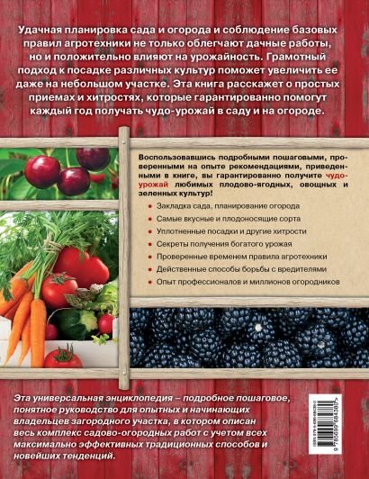 Планировка Огорода под Посадку Овощей – Секреты Успешного Урожая