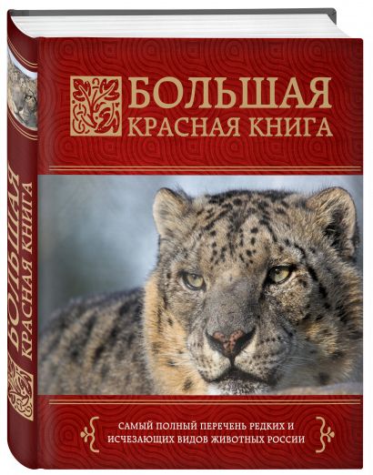 Рябчик русский красная книга фото