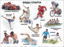 Виды Спорта
