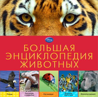 Большая энциклопедия животных - фото 1