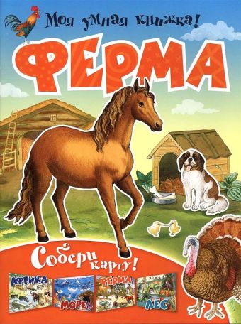 Ферма Ферма