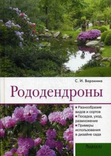 Рододендроны
