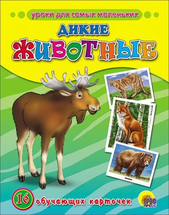 Обучающие Карточки. Дикие Животные Обучающие Карточки. Дикие Животные