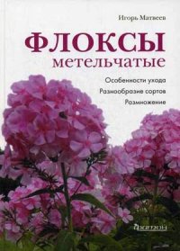 Флоксы метельчатые