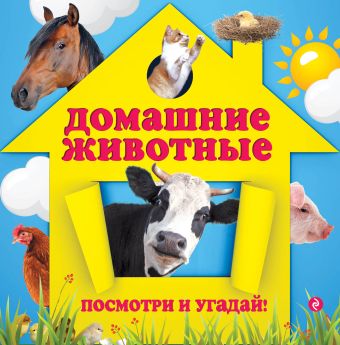 Домашние животные Домашние животные Прищеп А.А.