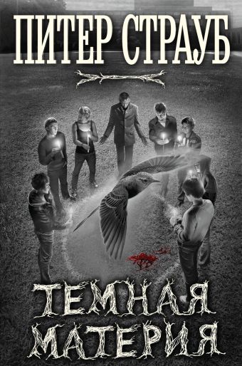Темная материя Темная материя Страуб П.