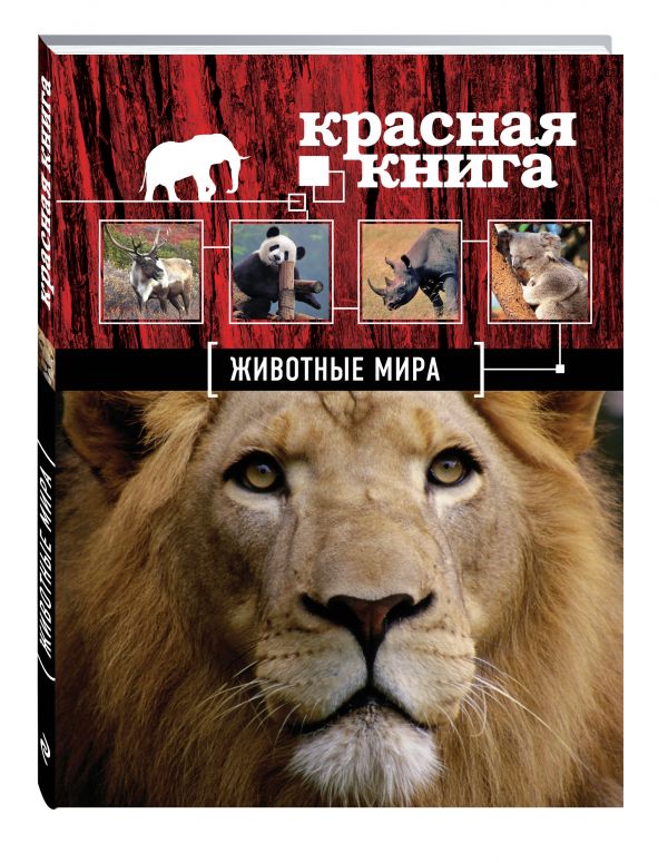 Красная книга. Животные мира Красная книга. Животные мира Скалдина О.В., Слиж Е.А.