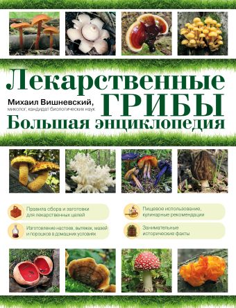 Лекарственные грибы. Большая энциклопедия Лекарственные грибы. Большая энциклопедия Вишневский М.В.