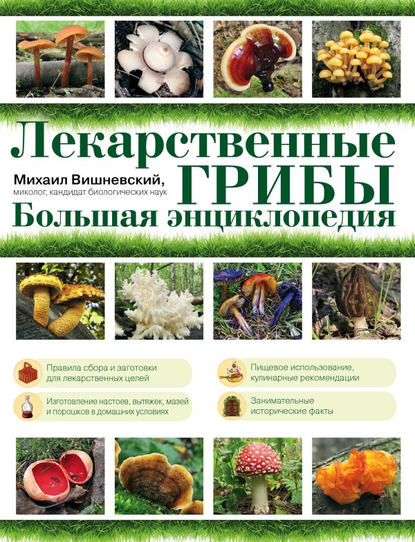 Лекарственные грибы. Большая энциклопедия Лекарственные грибы. Большая энциклопедия Вишневский М.В.