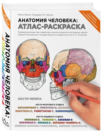 Анатомия человека: атлас-раскраска Анатомия человека: атлас-раскраска Элсон Л., Кэпит У.