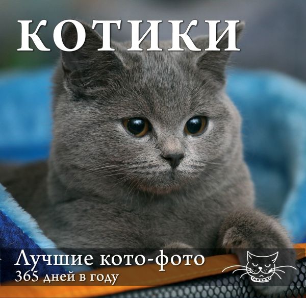 Календарь. Котики: Лучшие кото-фото. 365 дней в году (оформление 1) Календарь. Котики: Лучшие кото-фото. 365 дней в году (оформление 1)