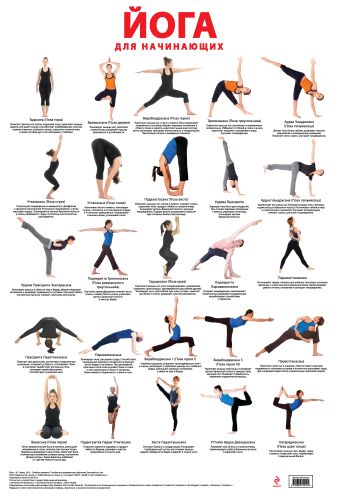 Йога для начинающих йога для самых начинающих