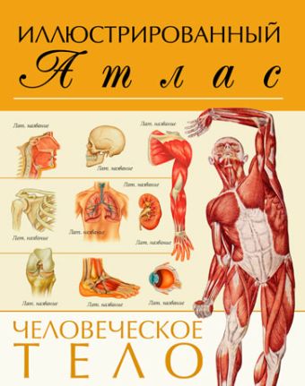 Человеческое тело. Иллюстрированный атлас Человеческое тело. Иллюстрированный атлас