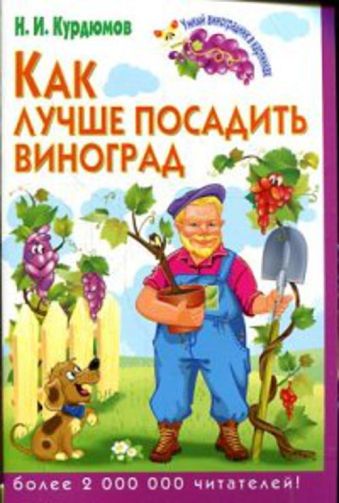 Как лучше посадить виноград Как лучше посадить виноград Курдюмов Н.И.