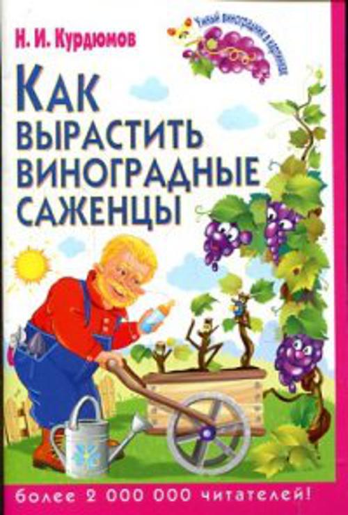 Как вырастить виноградные саженцы Как вырастить виноградные саженцы Курдюмов Н.И.