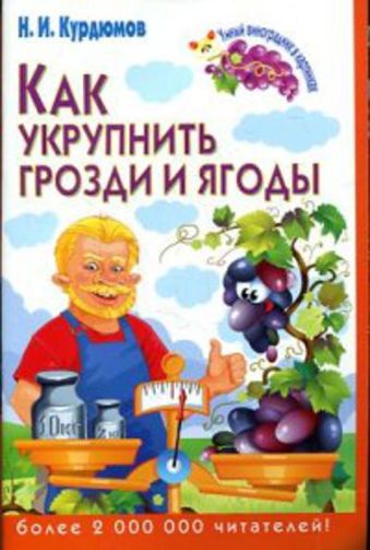 Как укрупнить грозди и ягоды Как укрупнить грозди и ягоды Курдюмов Н.И.