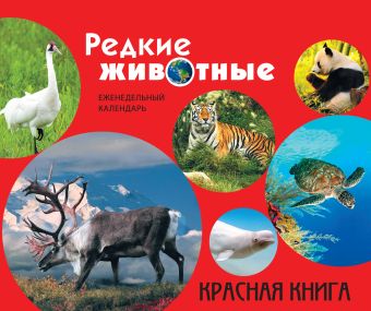 

Редкие животные. Красная книга (серия Подарочные издания. Календари на 52 недели)