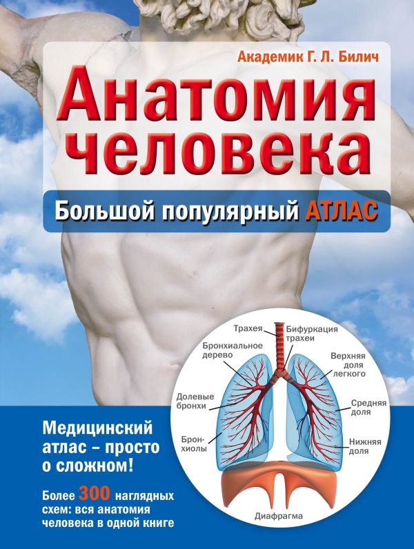 Анатомия человека: большой популярный атлас. Билич Габриэль Лазаревич