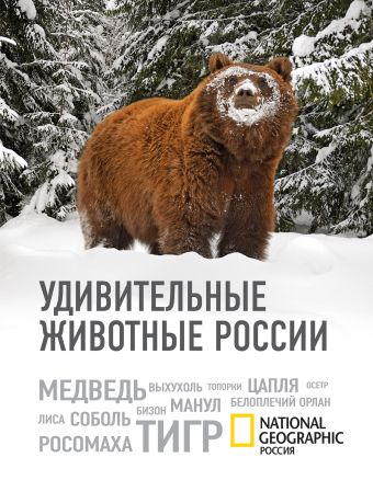 

Удивительные животные России