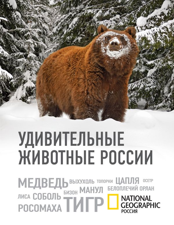 Удивительные животные России Удивительные животные России