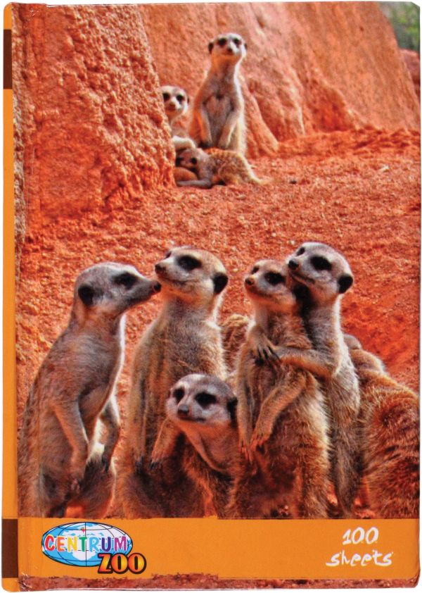 Блокнот 100 листов "ZOO" формат А6. Обложка ламинированная, твердый переплет 7БЦ, ассорти. Блок- клетка. Блокнот 100 листов "ZOO" формат А6. Обложка ламинированная, твердый переплет 7БЦ, ассорти. Блок- клетка.