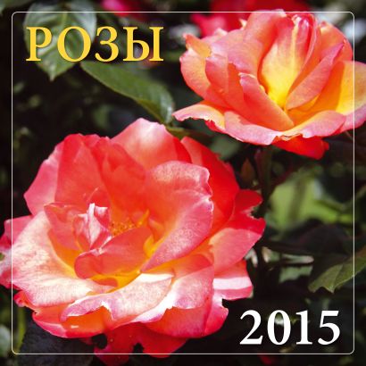 Розы 2015 - фото 1
