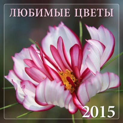 Любимые цветы 2015 - фото 1