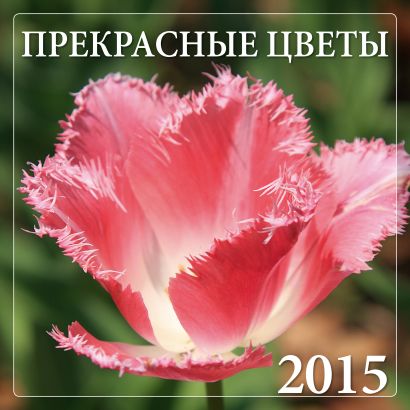 Прекрасные цветы 2015 - фото 1